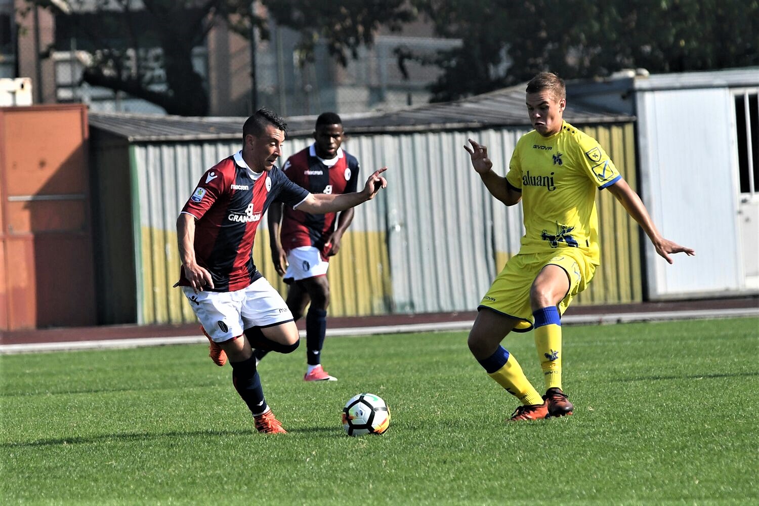 Chievo Veronan Martti Haukiojan jatko ratkeaa lähipäivinä