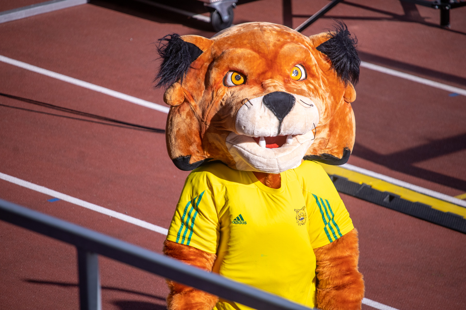 Kuvakooste: Ilves – AC Oulu / Veikkausliiga